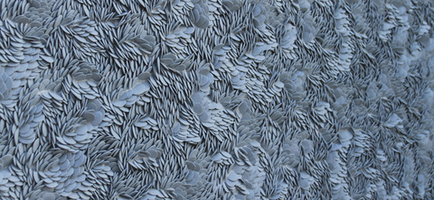 Blue_flow__detai_l_main