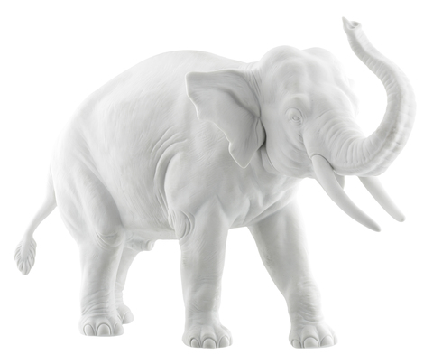 18604_elephant_trunk_up_white_bis-1_copy_main