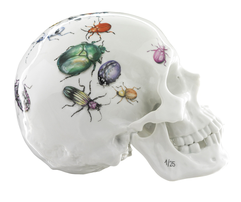 20.315_skull_limited_25_bugs_main