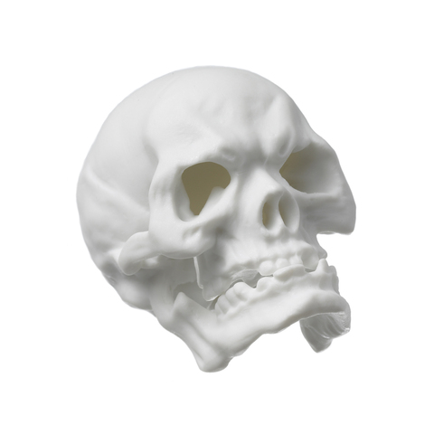 18895_skull_small_white_bis_copy_main