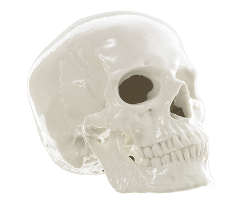19213_totenkopf_16_main