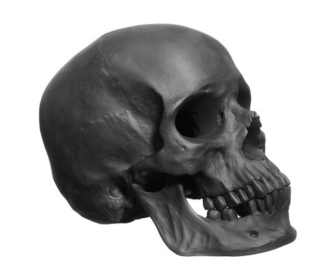 19533_skull_large_black_bis_copy_main