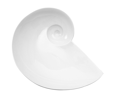 10958_1703-1_tm_mondschneckenschale_weiss_main