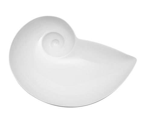 10961_1703-3_tm_mondschneckenschale_weiss_main