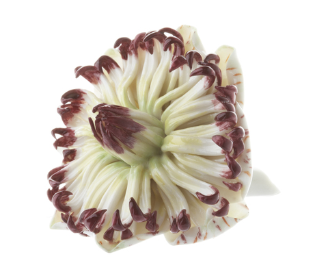 18.612_passion_flower_painted_main