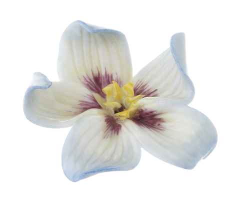 19.406_pansy_painted_copy_main