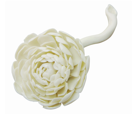 18624_paeonientulpe_elfenbein_main