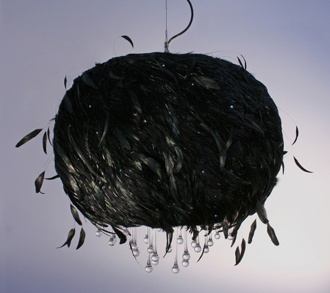 Black_cumulus_1_main