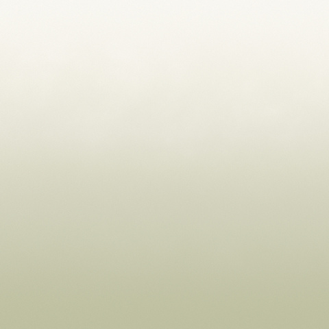 Aurora_moss_main