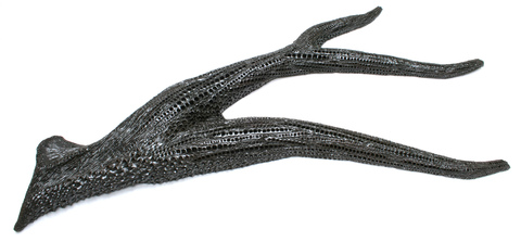Forked_branch_3_main