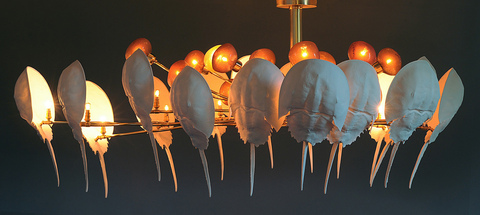 Photo_1_main