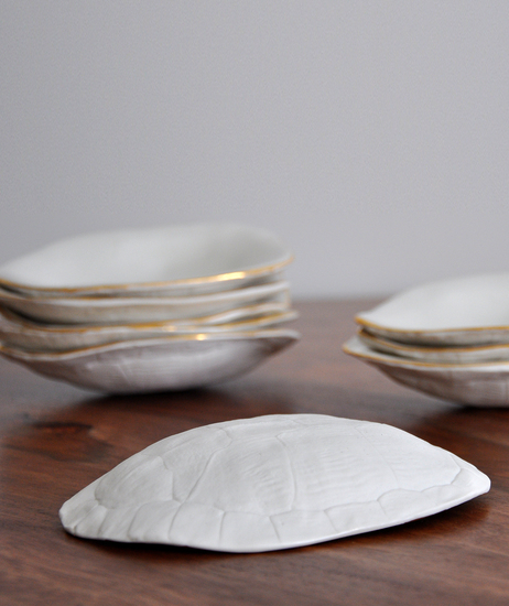 Tortoise_dish_1_main