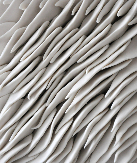 Magnolia_micro_closeup_main